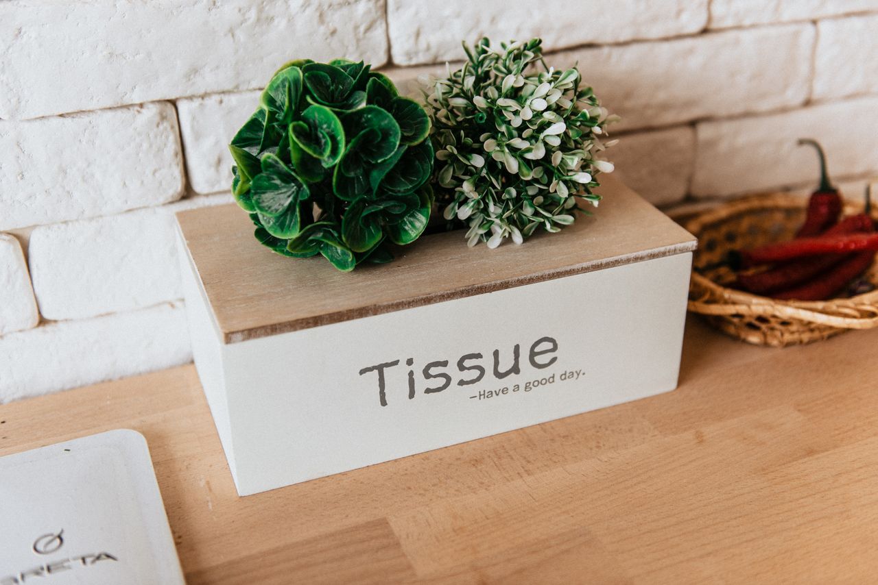 A stylish tissue box with artificial plants on a kitchen table, offering a warm and inviting decor element.